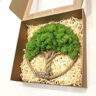 Drzewko Szczęścia Chrobotek, oryginalny prezent na każdą okazję