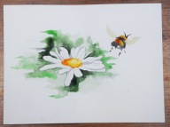 KWIATY (35) dla 884 Skubalskich