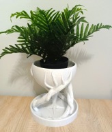 Doniczka - Druk 3D, Nowoczesny Design