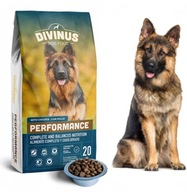 DIVINUS PERFORMANCE KARMA SUCHA 20KG