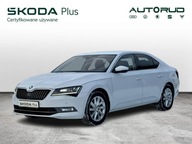 Škoda Superb Skoda Superb Style 2.0 TDI 190KM DSG