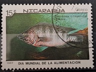 Ryby (kas) - luzak - do uzupełnień 13/3