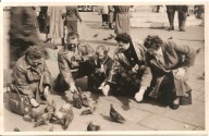 GOŁĘBIE KARMIENIE -fotografia -format pocztówkowy