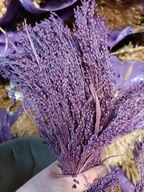 proso naturalne suszone fiolet trawy zboże kwiaty kompozycje bukiety