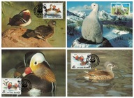 05-MC63- WWF, Ptaki egzotyczne-wodne -8szt