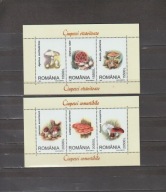 RUMUNIA 2003 GRZYBY
