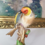 Porcelana Capodimonte – figurka ptak 14 cm – biskwit