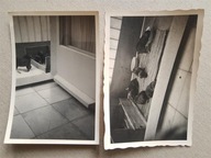 2 x kojec dla psów 50te (131b)