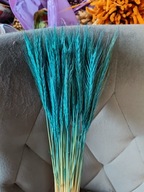 Żyto fiolet naturalne suszone zboże susz kwiaty kompozycje niebieski morski