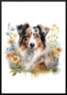 A2 PLAKAT PIES W KWIATACH RASA AUSTRALIAN SHEPHERD, OWCZAREK AUSTRALIJSKI