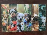 Zakładka do książki Psy Słodkie małe Pieski Urocze Psiaki Sweet Dogs 6 szt