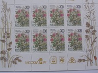 Rosja - kwiaty polne - Mi. 437 ** arkusik - nadruk