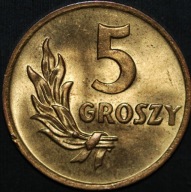 5 groszy 1949 B - menniczy egzemplarz