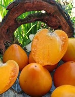 Pomidor Heart Of Ashgabat (225) nasiona kolekcjonerskie