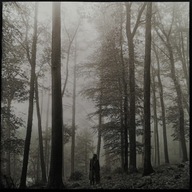 CD Taylor Swift – Folklore (bonus track) BDB!