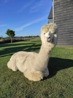 Weekend w Jastrzębiej Górze