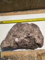 Skamieliny , koralowce , kwarc z hematytem