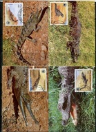 A51564)WWF-Maximum Karty Gady i Plazy: Kongo 1063 - 1066