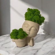 Chrobotek reniferowy w doniczce, dekoracja, prezent