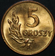 5 groszy 1949 B - menniczy egzemplarz