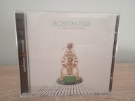 BLOSSOM TOES - IF ONLY FOR A MOMENT / SUNBEAM RECORDS U.K./ RARYTAS / NOWA