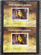 Folder Nowodruki A+B Ptaki Polskich Parków Sikorka Bogatka NUMER