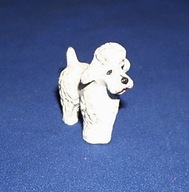 Zwierzęta PRL Pies Pudel