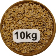 Pszenica Ozima Konsumpcyjna/Paszowa 10kg, 2025r