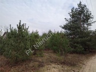 Działka, Żółwin, Brwinów, Pruszkowski, 2056 m²