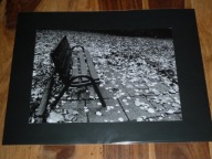 LUCYNA KUŚNIERCZYK - "W ogrodzie jesienią" (1/4) - FOTOGRAFIA ARTYSTYCZNA