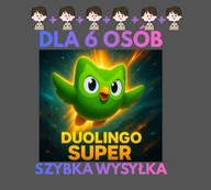 Duolingo Super | 6 OSÓB !! | 12 MIESIĘCY | BEZ REKLAM | PEŁNA WERSJA