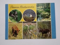 Puszcza Białowieska, Orlik, Bojownik, Żubr, Czapla, Łoś - pocztówka z 1986