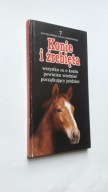 KONIE I ZREBIETA - Dorota Modlinska