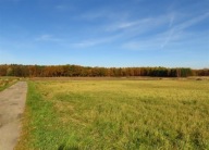 Działka, Chełm Śląski, Chełm Śląski, Bieruńsko, 1206 m²