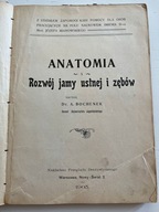 Adam Bochenek Anatomia i Rozwój jamy ustnej i zębów I wydanie 1905 r.