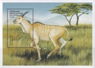 DR Kongo 2000 ** cena 7,90 zł kat.8€ - fauna
