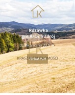 Działka, Rdzawka, Rabka Zdrój, Nowotarski, 2250 m²