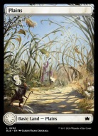 Karta Magic: The Gathering Plains BLB 262