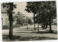 STRZELIN - ULICA ADAMA MICKIEWICZA