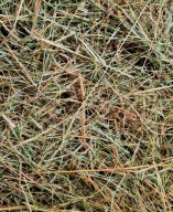 Siano Sianko dla gryzoni królików świnek 3 kg