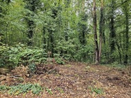 Działka, Sękocin Stary, Raszyn, Pruszkowski, 1870 m²