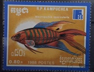 Ryby (kas) - luzak - do uzupełnień 13/2