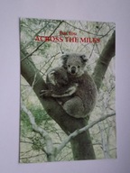 MISIE KOALA - karnet z Australii