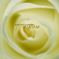 Stefano Panunzi A Rose CD Tim Bowness Giancarlo Erra Mick Karn
