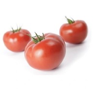 Pomidor Mahitos F1 tunelowy bardzo wczesny plenny 10 nasion holenderskie **