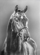 Portret ołówkiem ze zdjęcia na zamówienie A4 1 osoba