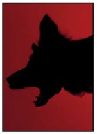 Plakat „Dream Blur” – Abstrakcyjny Plakat Artystyczny
