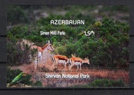Azerbejdżan 2022, bl. Park Narodowy Shirvan, las, jelenie, sarny