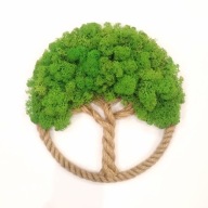 Drzewko Szczęścia Chrobotek, żywy obraz handmade, dekoracja na ścianę 30cm