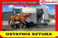 Końska przyczepa 2-konna Böckmann DUO | Solidna | Aluminiowa podłoga